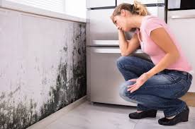 Best Mold Odor Removal Services  in Bodfish, CA